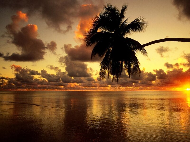 Palm Tree at Sunset — Orange, Serene, Photograph, Ocean, Clouds, Sun, Yellow