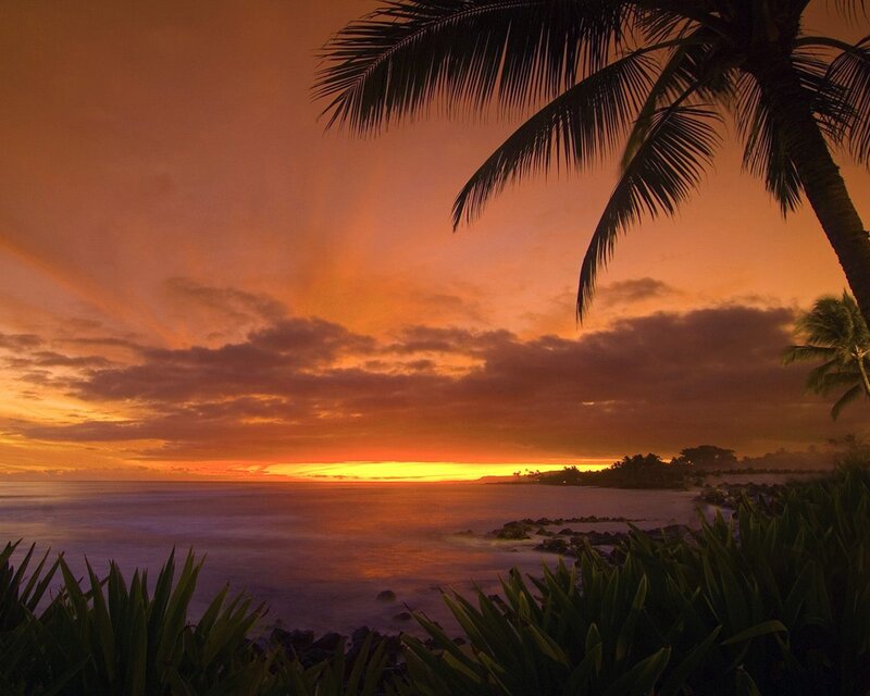 Palm Tree at Sunset — Orange, Serene, Photograph, Ocean, Clouds