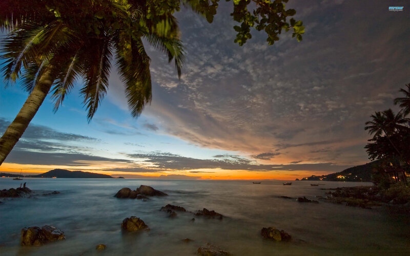 Palm Tree at Sunset — Orange, Serene, Photograph, Ocean, Rocks, Boats