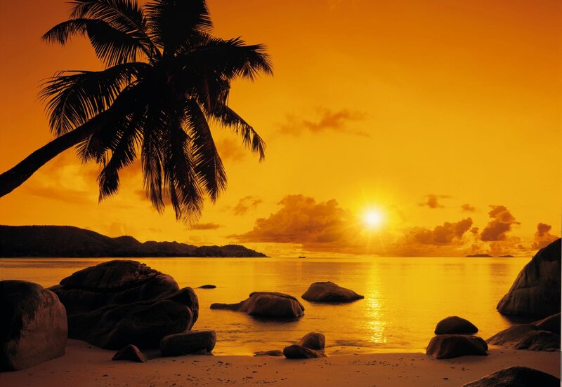 Palm Tree at Sunset — Orange, Serene, Photograph, Ocean, Rocks, Clouds