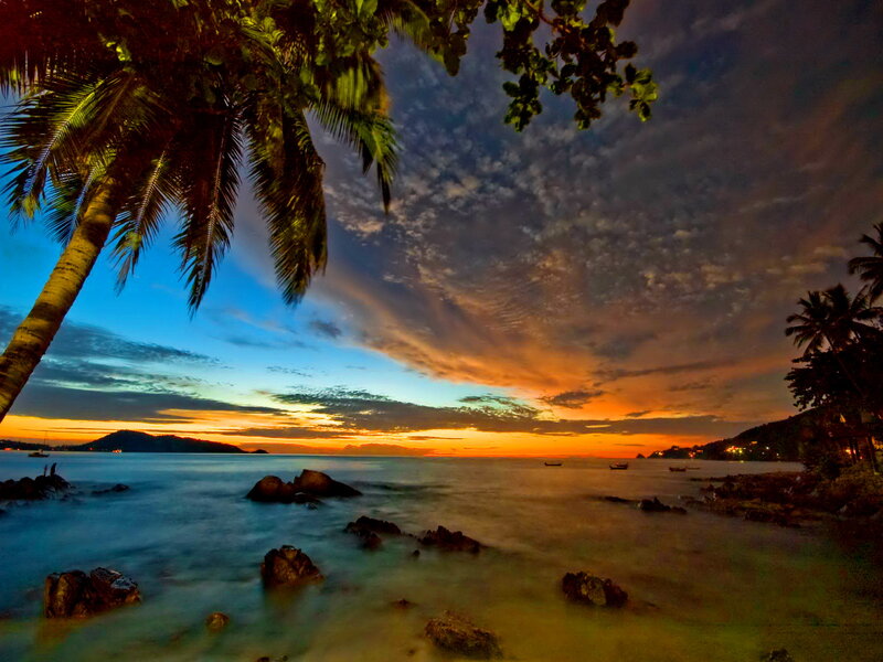 Palm Tree at Sunset — Orange, Serene, Photograph, Ocean, Rocks