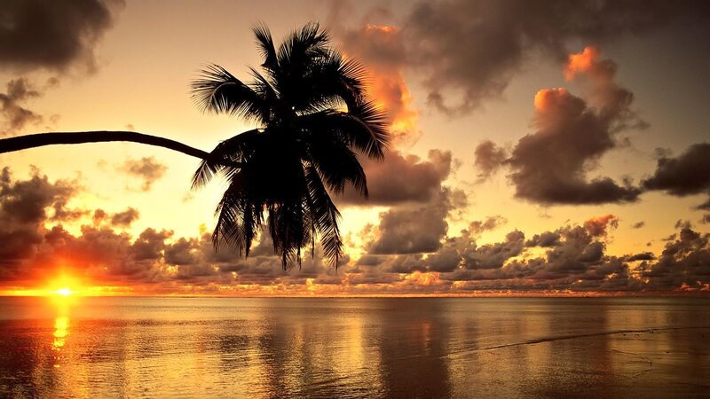 Palm Tree at Sunset — Orange, Serene, Photograph, Ocean, Sky, Clouds