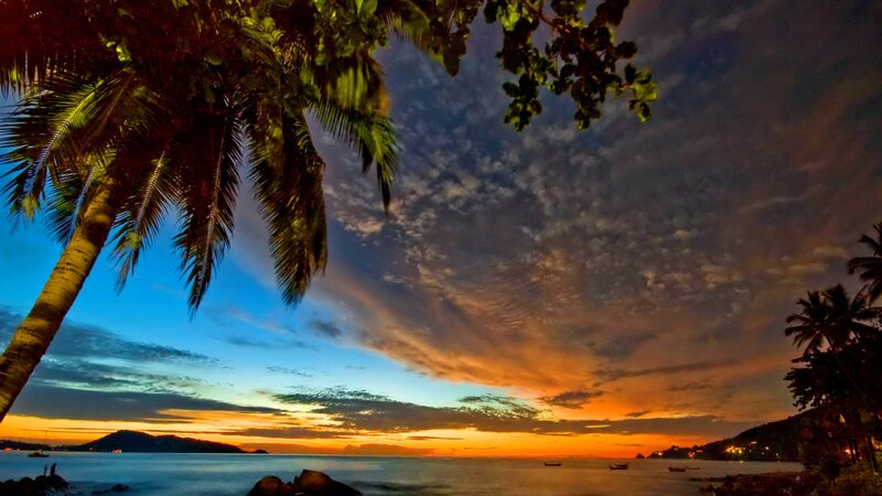 Palm Tree at Sunset — Orange, Serene, Photograph, Ocean, Sky, Mountain