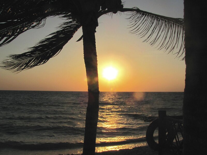 Palm Tree at Sunset — Orange, Serene, Photograph, Ocean, Sun, Beach