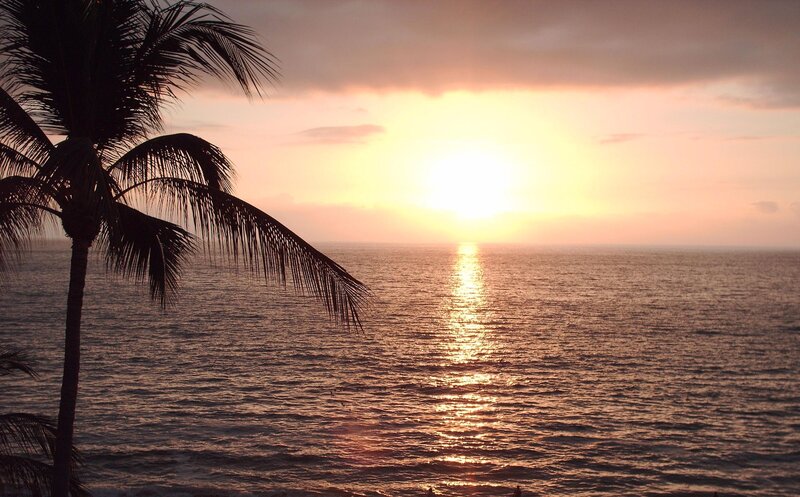 Palm Tree at Sunset — Orange, Serene, Photograph, Ocean, Sun, Sky