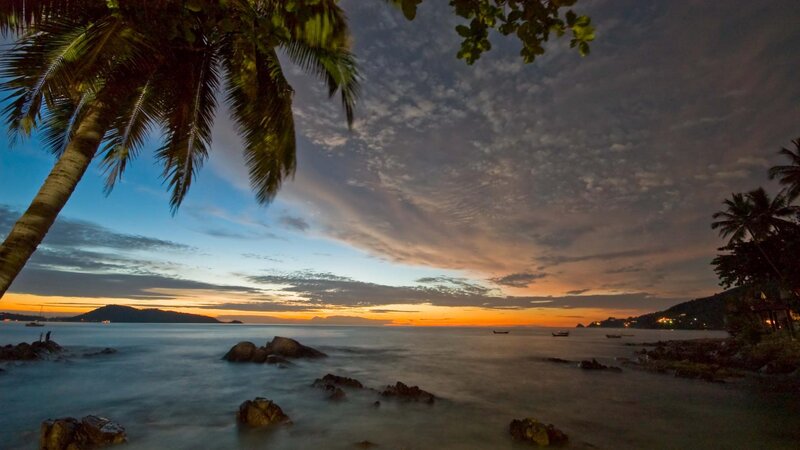 Palm Tree at Sunset — Orange, Serene, Photograph, Ocean