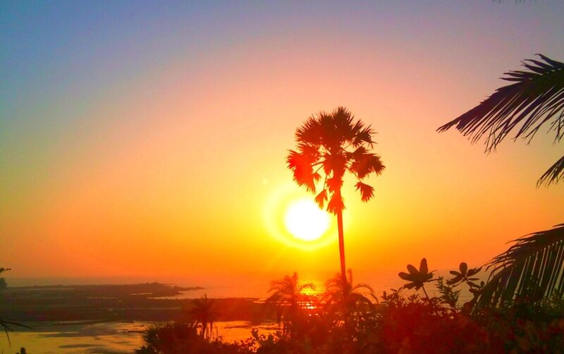 Palm Tree at Sunset — Orange, Serene, Photograph, Sun, Ocean