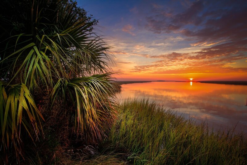 Palm Tree at Sunset — Orange, Serene, Photograph, Water