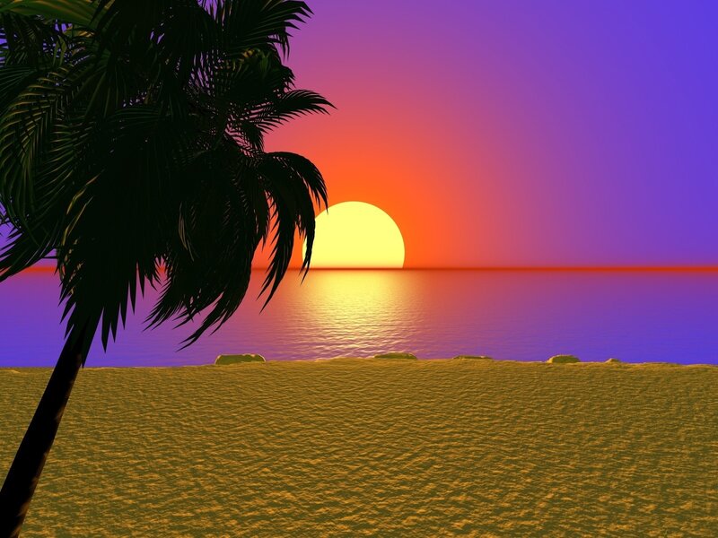 Palm Tree at Sunset — Purple, Serene, 3d Render