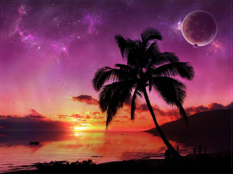 Palm Tree at Sunset — Purple, Serene, Digital Art
