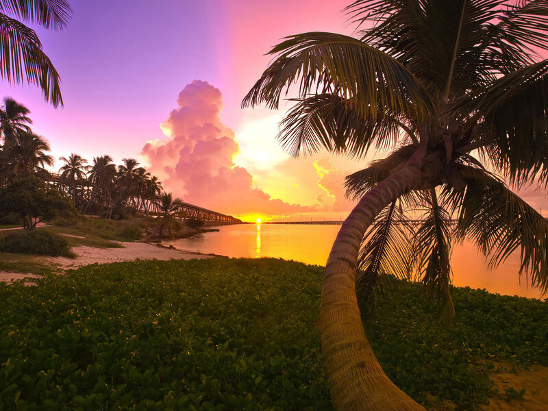 Palm Tree at Sunset — Purple, Serene, Photograph, Clouds