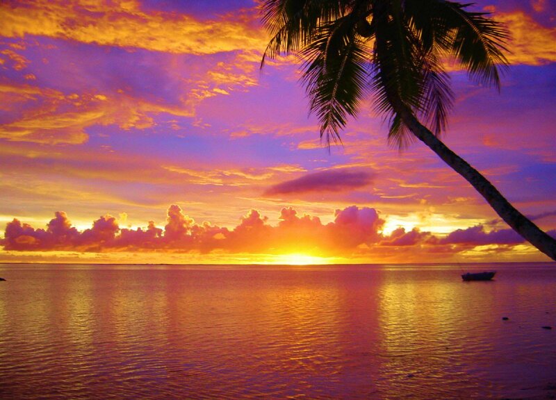 Palm Tree at Sunset — Purple, Serene, Photograph, Ocean, Boat