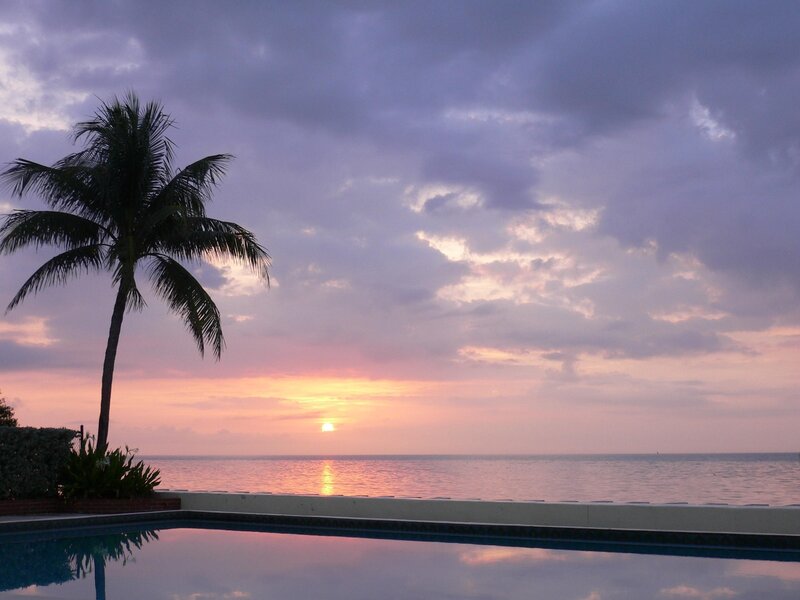 Palm Tree at Sunset — Purple, Serene, Photograph, Ocean, Pool