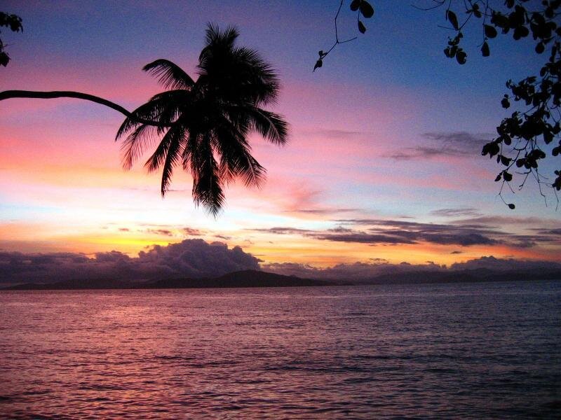 Palm Tree at Sunset — Purple, Serene, Photograph, Ocean, Sky, Island