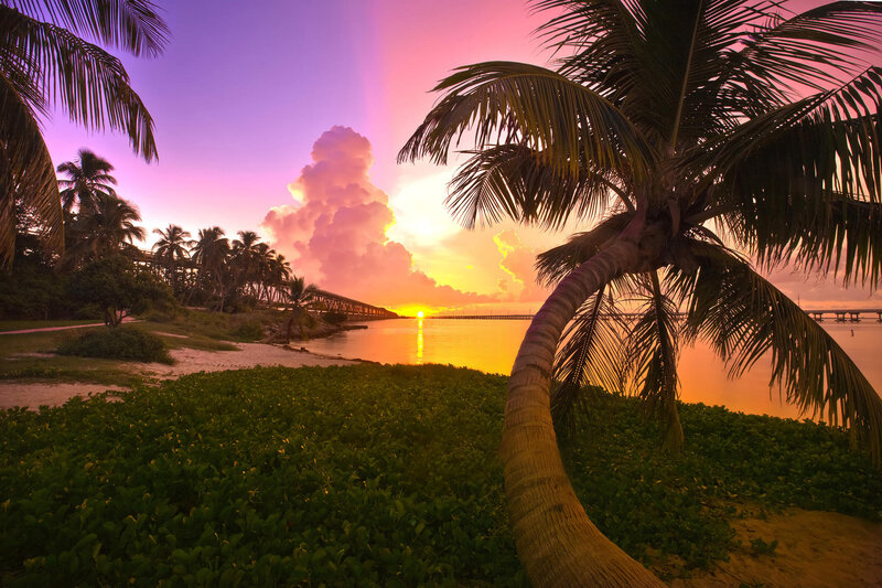 Palm Tree at Sunset — Purple, Serene, Photograph, Palm Trees, Bridge, Clouds, Ocean