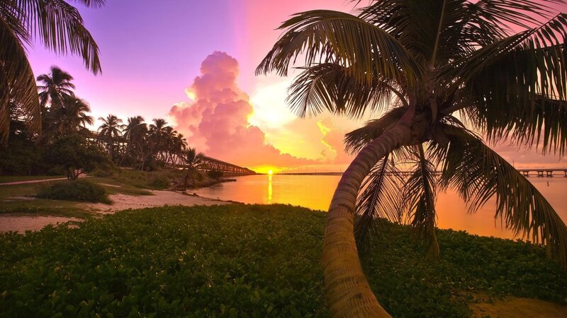 Palm Tree at Sunset — Purple, Serene, Photograph, Palm Trees, Bridge, Clouds