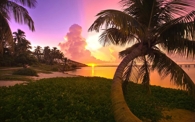 Palm Tree at Sunset — Purple, Serene, Photograph, Palm Trees, Bridge, Clouds, Water