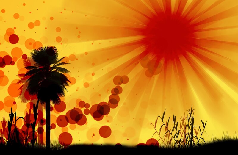 Palm Tree at Sunset — Yellow, Dramatic