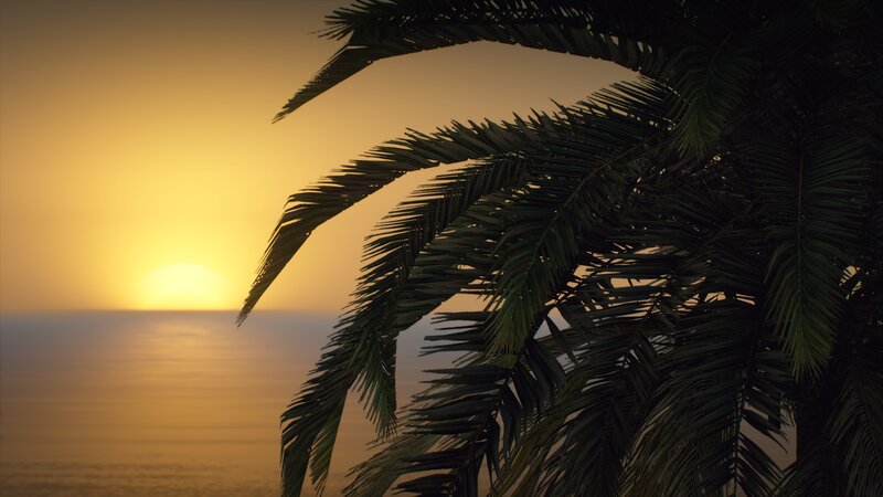 Palm Tree at Sunset — Yellow, Serene, 3d Render