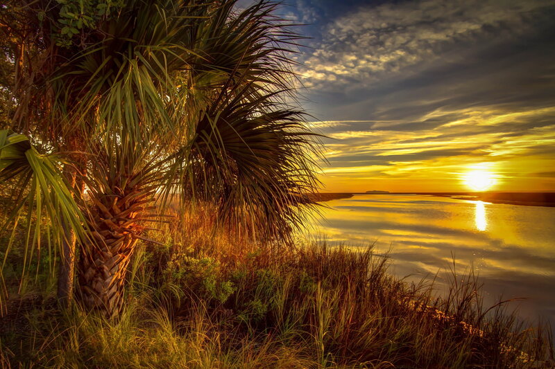 Palm Tree at Sunset — Yellow, Serene, Photograph, River