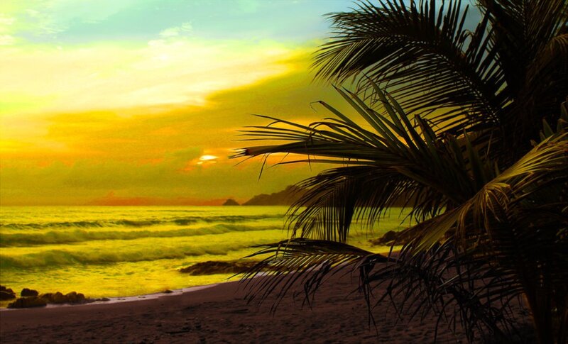 Palm Tree at Sunset — Yellow, Serene