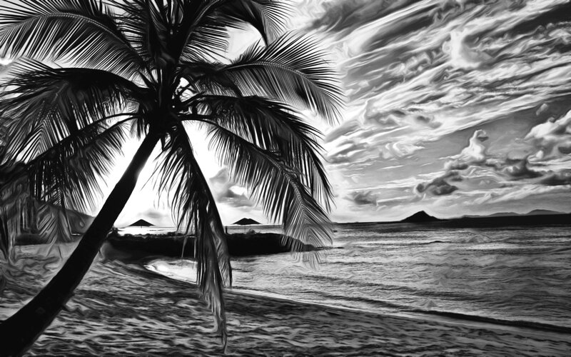 Palm tree at tropical beach