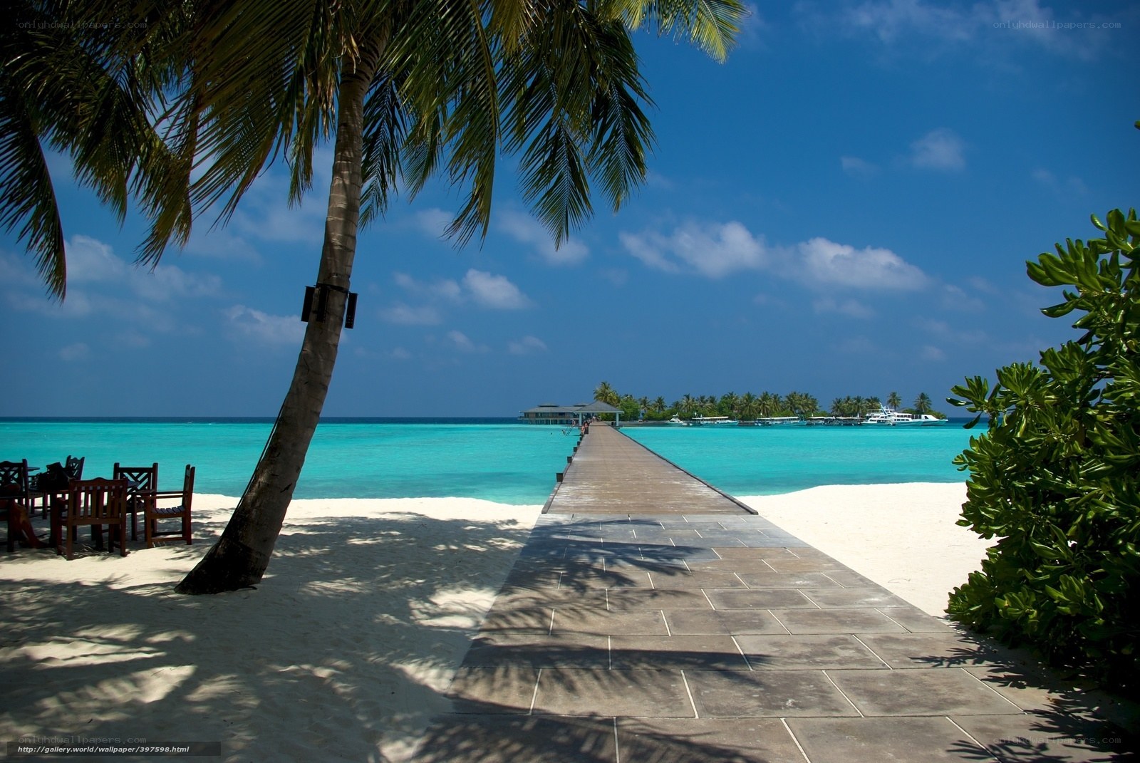 Palm tree beach with pier