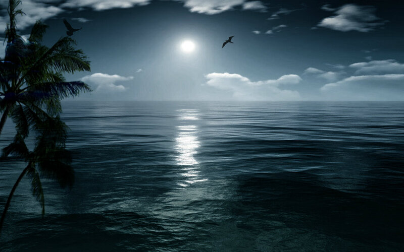 Palm Tree by Ocean — Blue, Serene