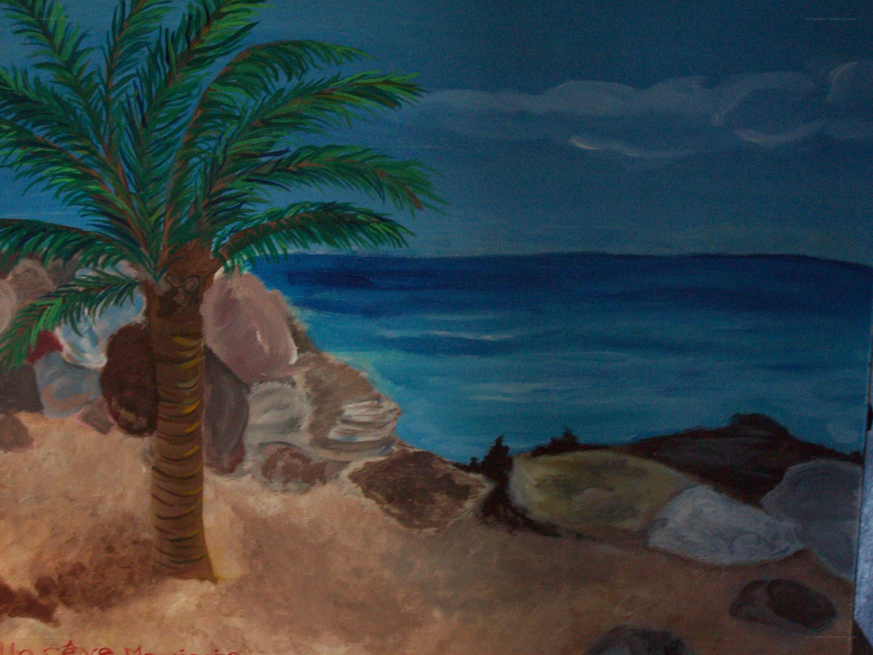 palm tree by the sea
