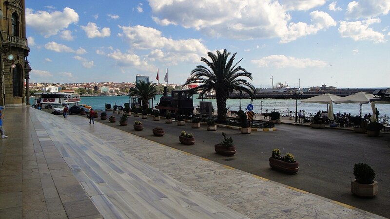 Palm Tree by Waterfront