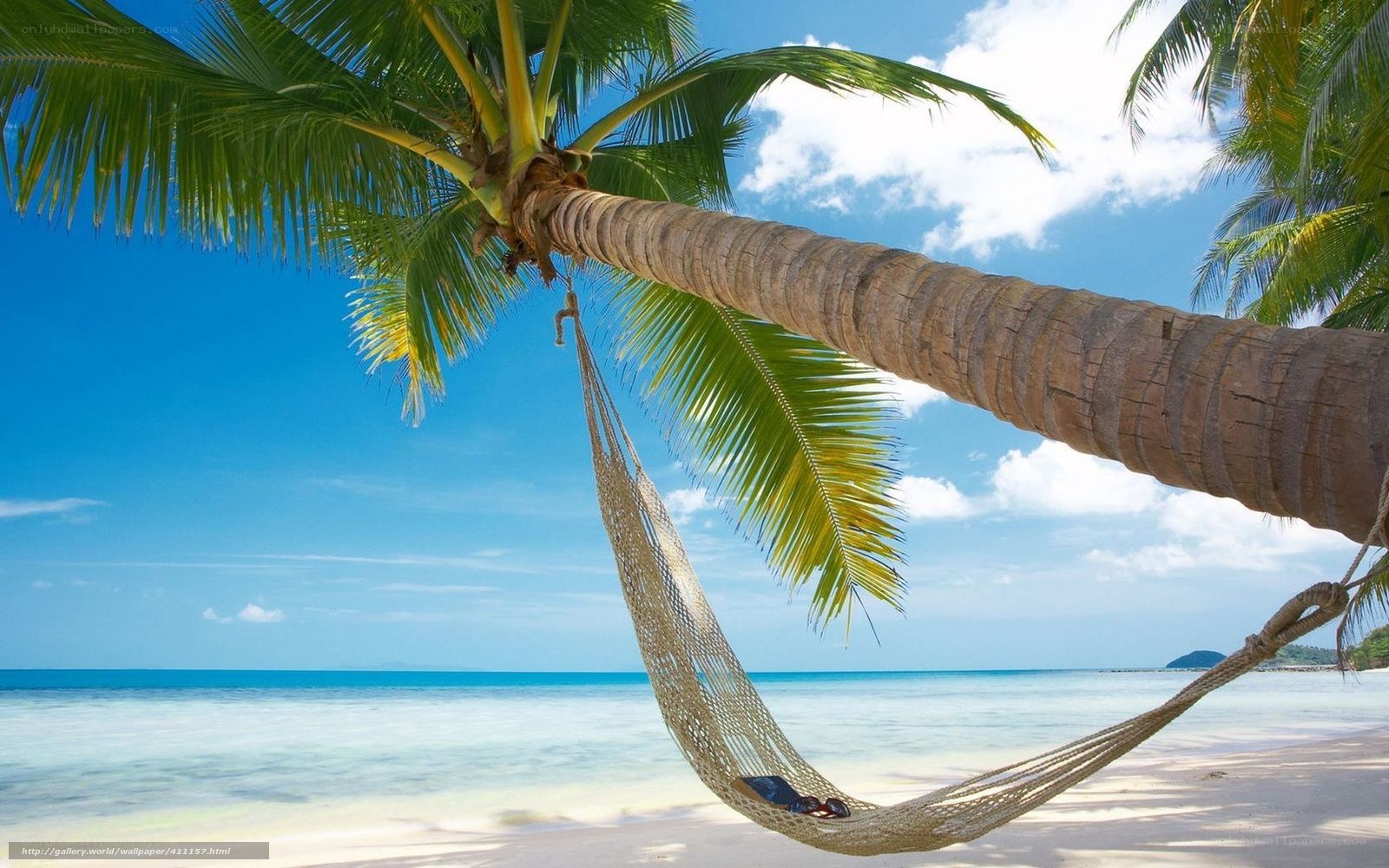 Palm tree hammock on tropical beach