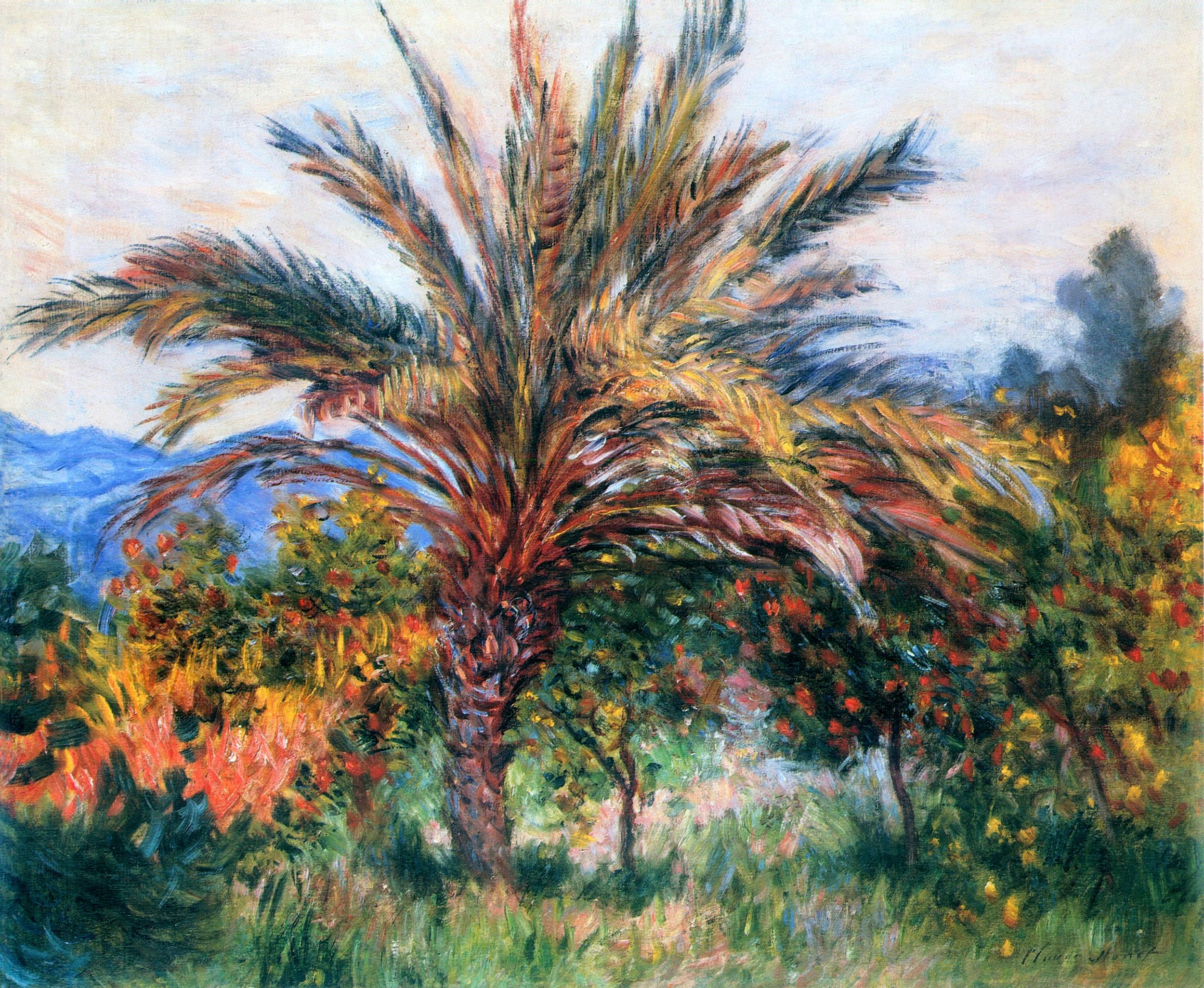 Palm Tree in a Garden