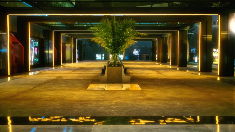 Palm Tree in Corridor