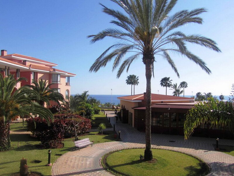 Palm Tree in Courtyard