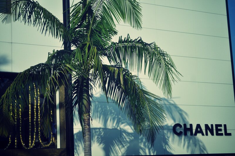 Palm Tree in Front of Building — Green