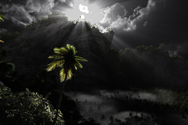 Palm Tree in Jungle