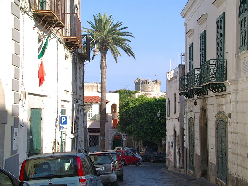 Palm Tree in Narrow Street