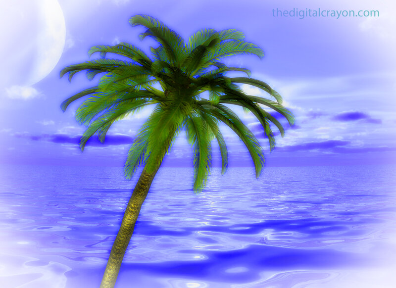 Palm Tree in Ocean