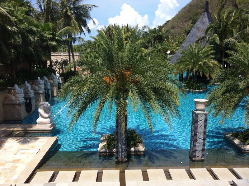 Palm Tree in Pool