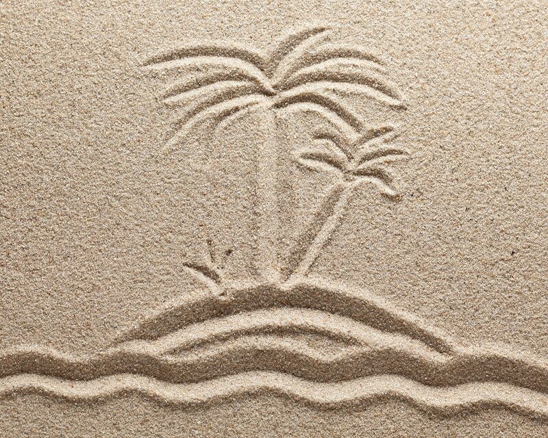 Palm Tree in Sand