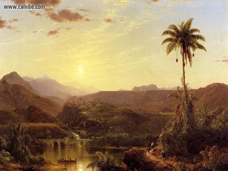 Palm Tree in Valley