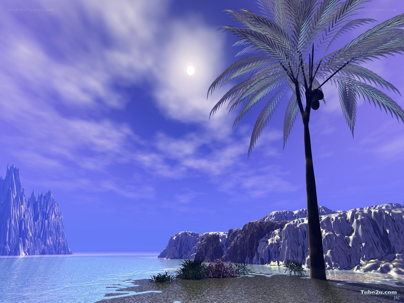 Palm tree on a tropical island