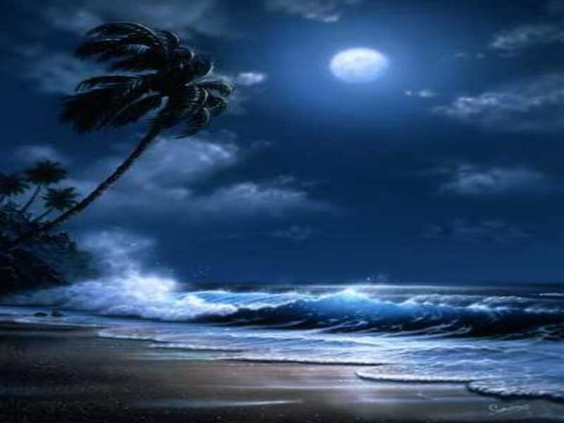 Palm Tree on Beach — Blue, Dramatic, Night, Digital Art
