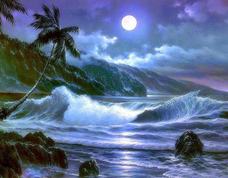 Palm Tree on Beach — Blue, Dramatic, Night