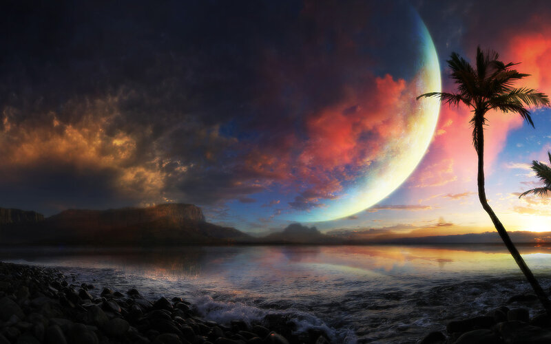 Palm Tree on Beach — Blue, Dramatic, Sunset, Digital Art