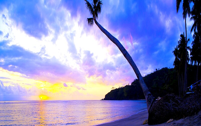 Palm Tree on Beach — Blue, Dramatic, Sunset