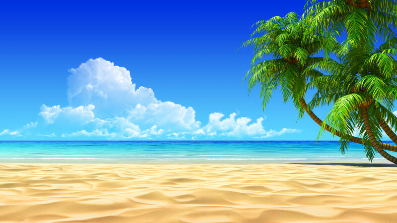 Palm Tree on Beach — Blue, Serene, Afternoon, Digital Art, Sand