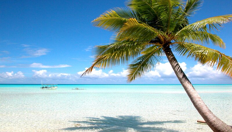 Palm Tree on Beach — Blue, Serene, Afternoon, Photograph, Boat, Ocean