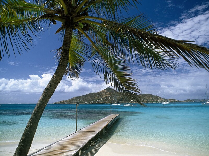 Palm Tree on Beach — Blue, Serene, Afternoon, Photograph, Dock