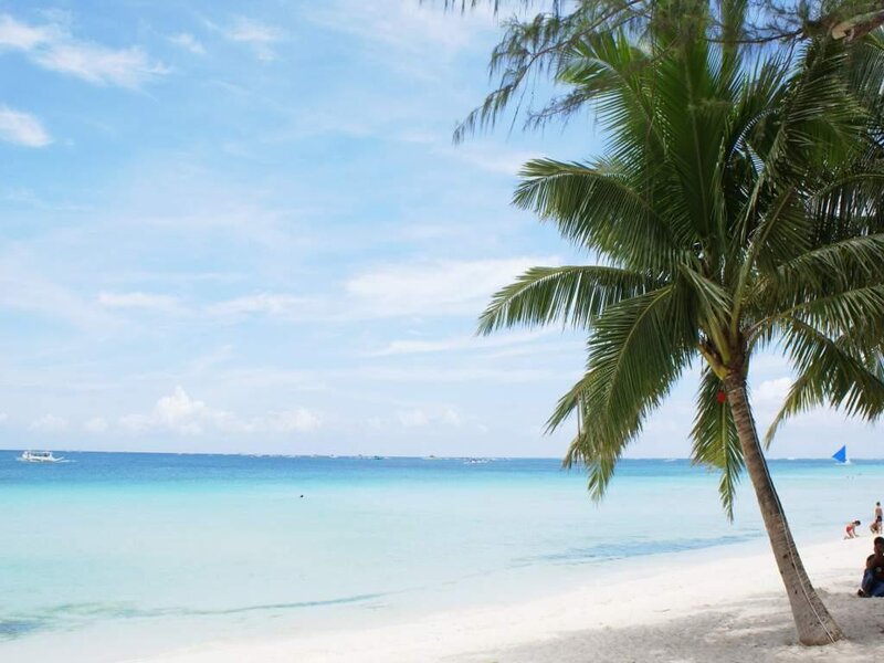 Palm Tree on Beach — Blue, Serene, Afternoon, Photograph, Ocean, Sky, People